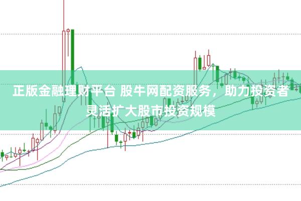 正版金融理财平台 股牛网配资服务，助力投资者灵活扩大股市投资规模