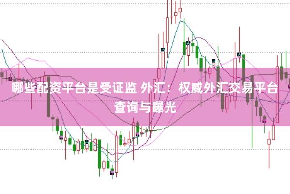 哪些配资平台是受证监 外汇：权威外汇交易平台查询与曝光
