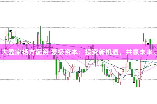 大盈家杨方配资 豪极资本：投资新机遇，共赢未来。