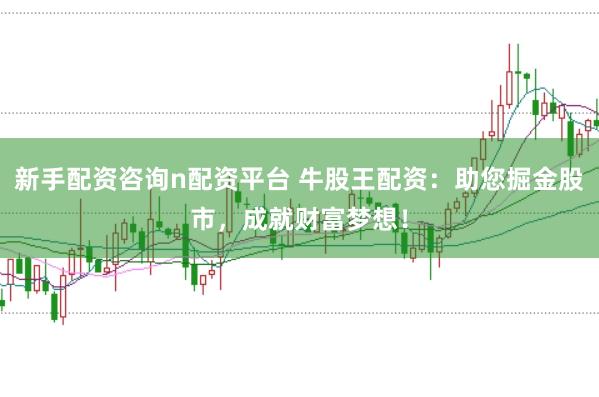 新手配资咨询n配资平台 牛股王配资：助您掘金股市，成就财富梦想！