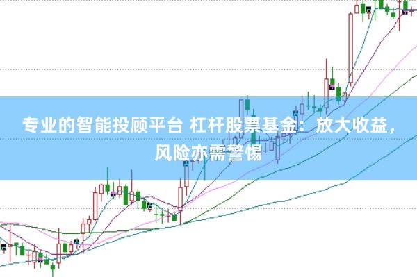 专业的智能投顾平台 杠杆股票基金：放大收益，风险亦需警惕
