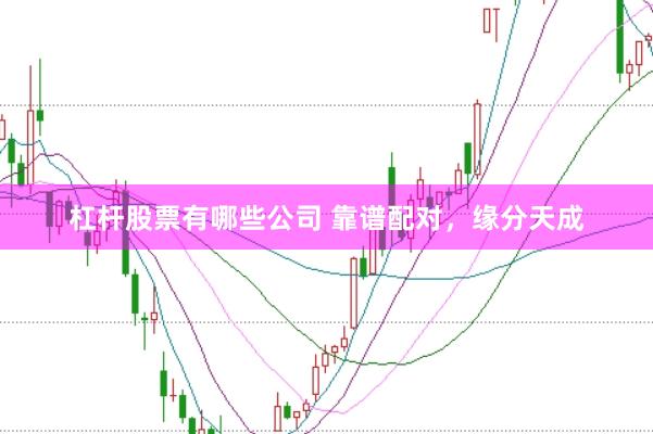 杠杆股票有哪些公司 靠谱配对，<a href=
