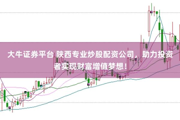 大牛证券平台 陕西专业炒股配资公司，助力投资者实现财富增值梦想！