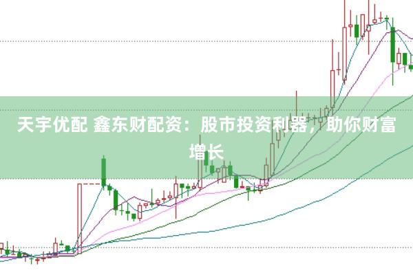 天宇优配 鑫东财配资:股市投资利器,助你财富增长