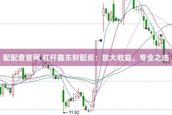 配配查官网 杠杆鑫东财配资:放大收益,专业之选