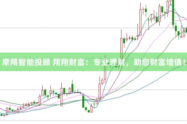 摩羯智能投顾 翔翔财富：专业理财，助您财富增值！