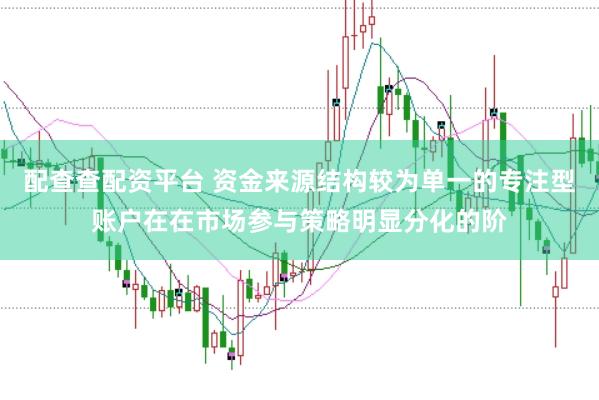 配查查配资平台 资金来源结构较为单一的专注型账户在在市场参与策略明显分化的阶