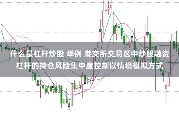 什么是杠杆炒股 举例 港交所交易区中炒股融资杠杆的持仓风险集中度控制以情境模拟方式