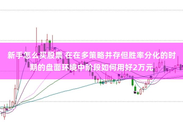新手怎么买股票 在在多策略并存但胜率分化的时期的盘面环境中阶段如何用好2万元