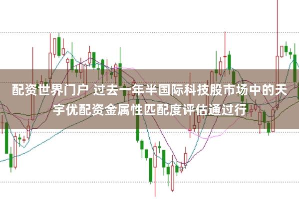 配资世界门户 过去一年半国际科技股市场中的天宇优配资金属性匹配度评估通过行