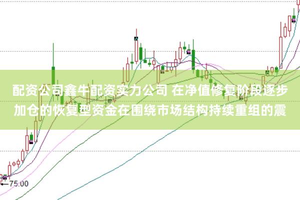 配资公司鑫牛配资实力公司 在净值修复阶段逐步加仓的恢复型资金在围绕市场结构持续重组的震