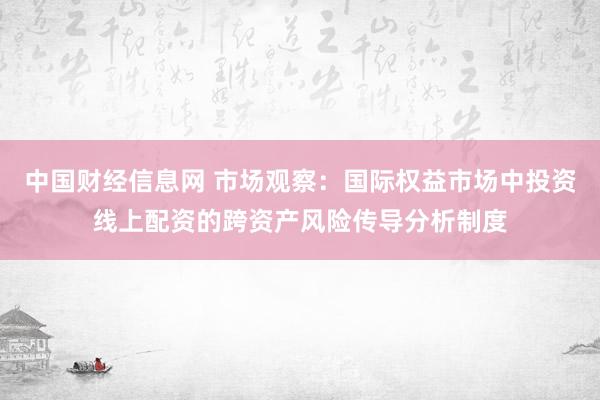 中国财经信息网 市场观察：国际权益市场中投资线上配资的跨资产风险传导分析制度