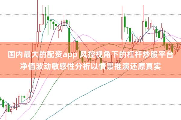 国内最大的配资app 风控视角下的杠杆炒股平台净值波动敏感性分析以情景推演还原真实