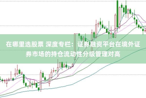 在哪里选股票 深度专栏：证券融资平台在境外证券市场的持仓流动性分级管理对高