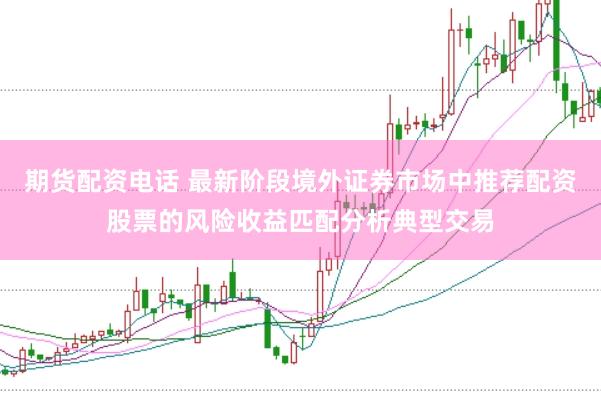 期货配资电话 最新阶段境外证券市场中推荐配资股票的风险收益匹配分析典型交易