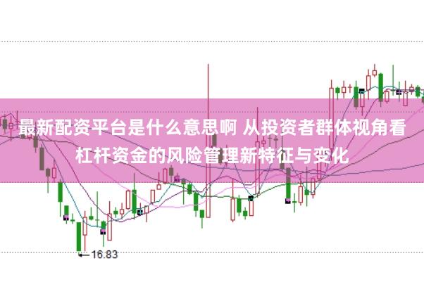 最新配资平台是什么意思啊 从投资者群体视角看杠杆资金的风险管理新特征与变化