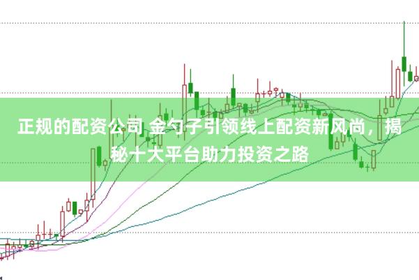正规的配资公司 金勺子引领线上配资新风尚,揭秘十大平台助力投资之路