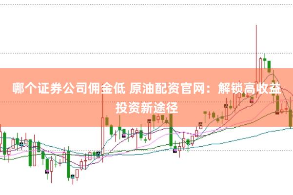 哪个证券公司佣金低 原油配资官网：解锁高收益投资新途径