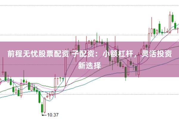 前程无忧股票配资 子配资：小额杠杆，灵活投资新选择