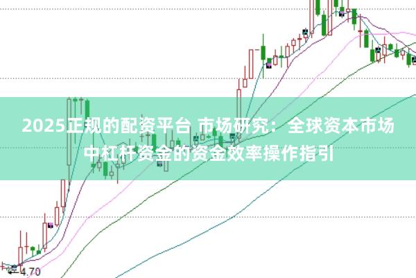 2025正规的配资平台 市场研究：全球资本市场中杠杆资金的资金效率操作指引