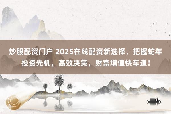 炒股配资门户 2025在线配资新选择，把握蛇年投资先机，高效决策，财富增值快车道！