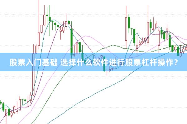 股票入门基础 选择什么软件进行股票杠杆操作？