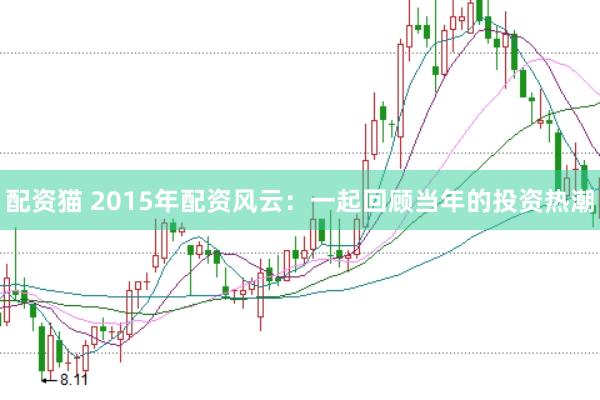 配资猫 2015年配资风云：一起回顾当年的投资热潮