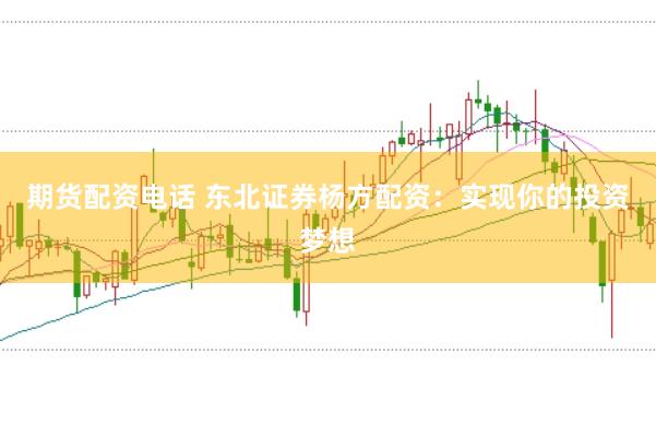 期货配资电话 东北证券杨方配资：实现你的投资梦想