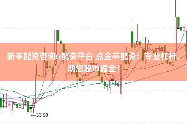 新手配资咨询n配资平台 点金手配资：专业杠杆，助您股市掘金！