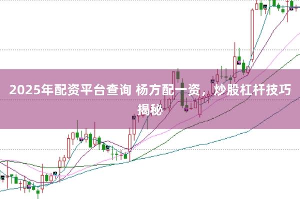 2025年配资平台查询 杨方配一资，炒股杠杆技巧揭秘